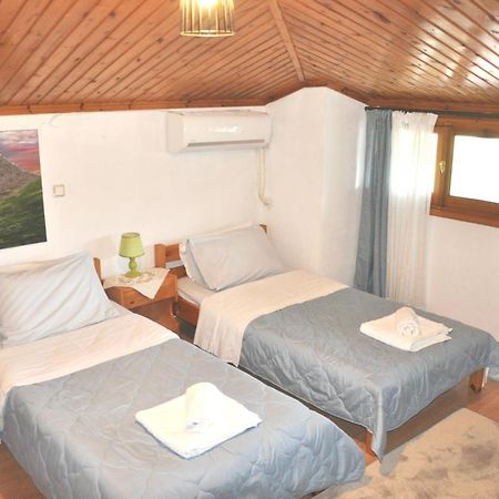 Cozy Loft With Fireplace & View Metsovo Exterior photo