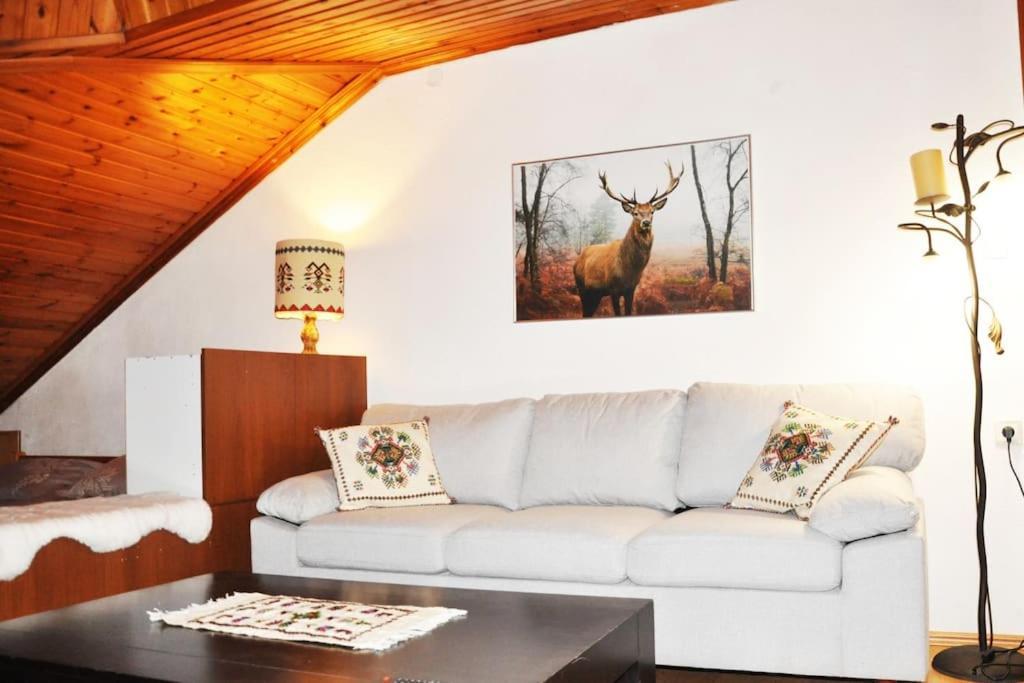 Cozy Loft With Fireplace & View Metsovo Exterior photo