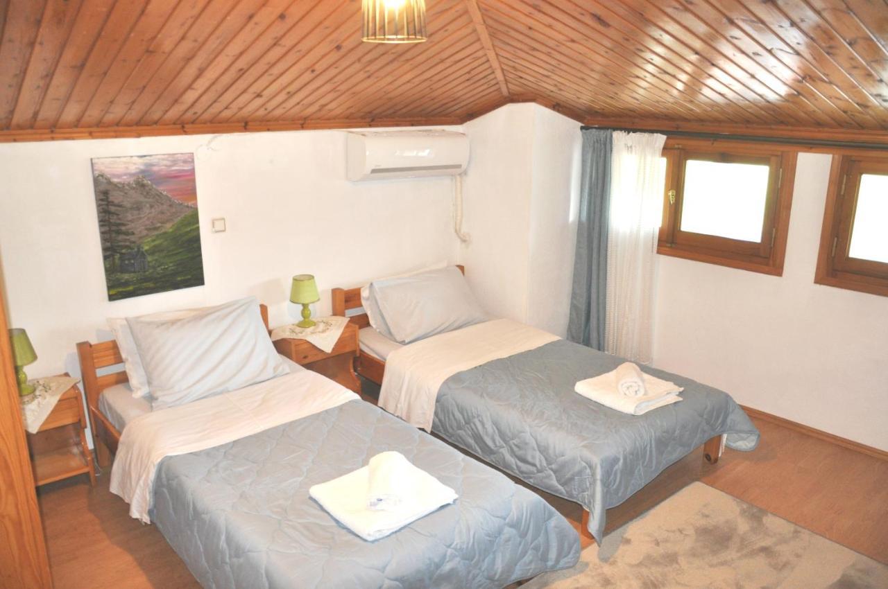Cozy Loft With Fireplace & View Metsovo Exterior photo