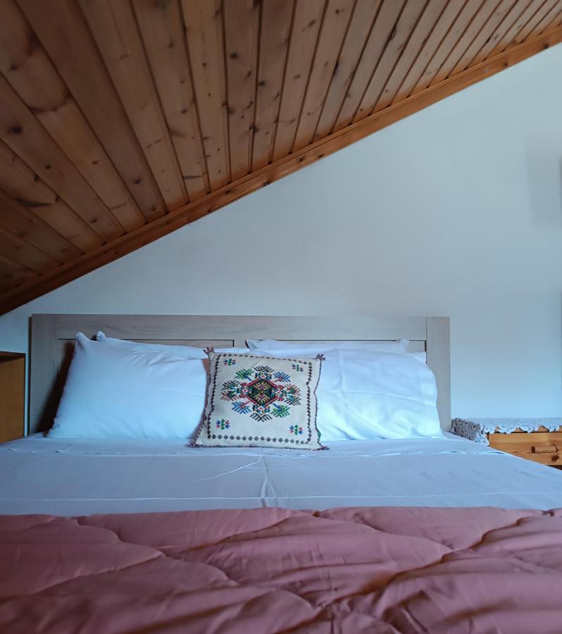 Cozy Loft With Fireplace & View Metsovo Exterior photo